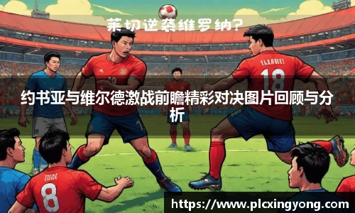 约书亚与维尔德激战前瞻精彩对决图片回顾与分析